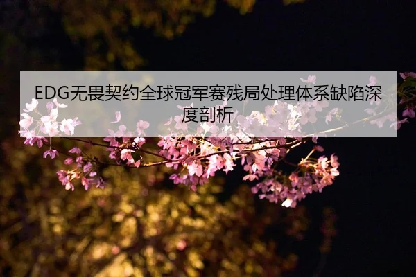 EDG无畏契约全球冠军赛残局处理体系缺陷深度剖析