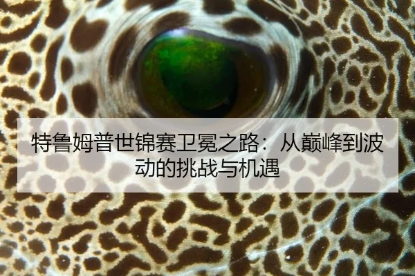 特鲁姆普世锦赛卫冕之路：从巅峰到波动的挑战与机遇