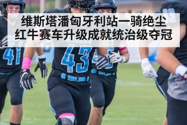 维斯塔潘匈牙利站一骑绝尘 红牛赛车升级成就统治级夺冠